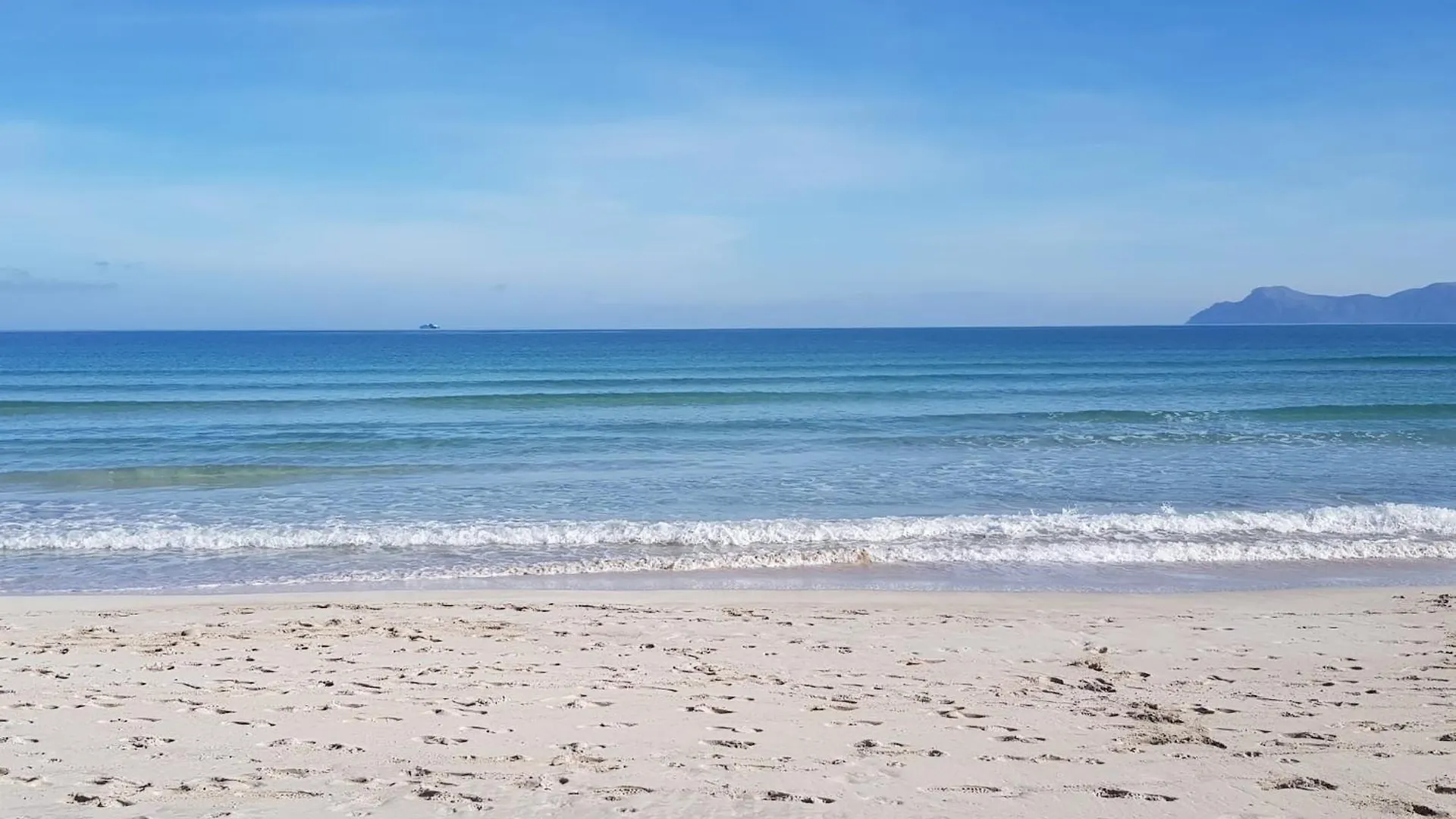 Ideal Property Mallorca - Avinguda Dels Pins 441 Playa de Muro